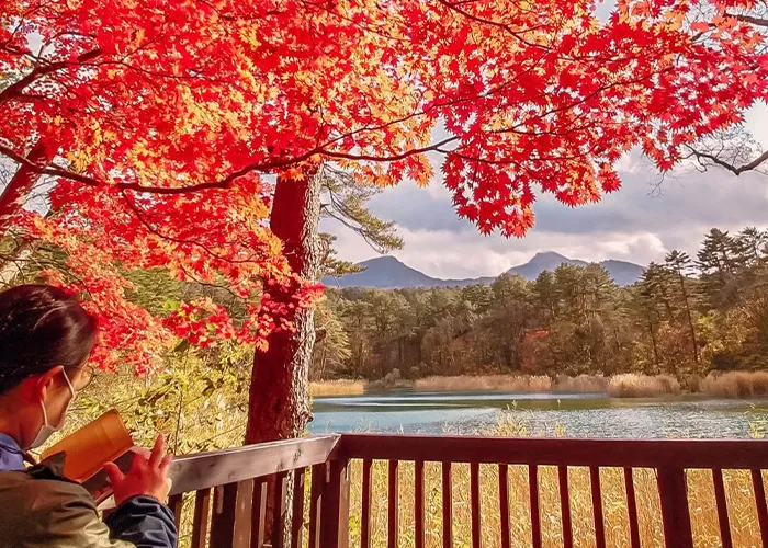 紅葉の五色沼