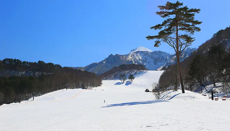 磐梯山パノラマツアー