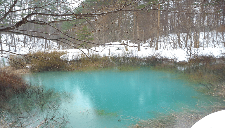 ちょこっとスノーシュー