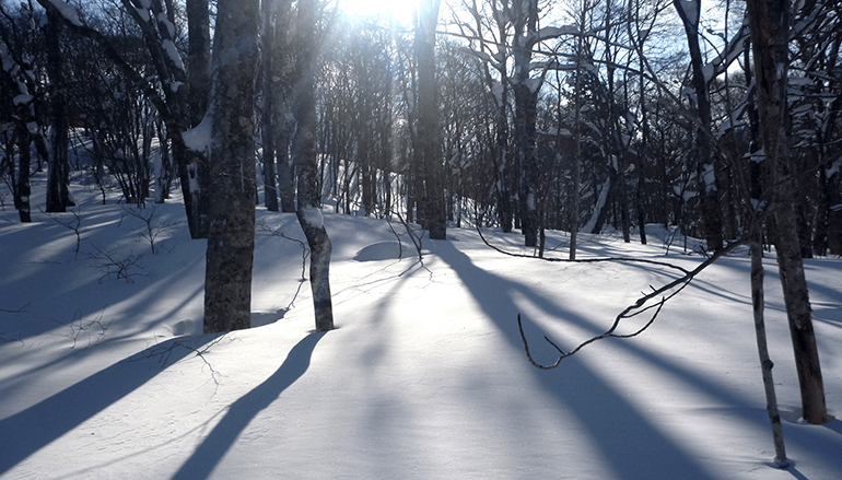 ちょこっとスノーシュー