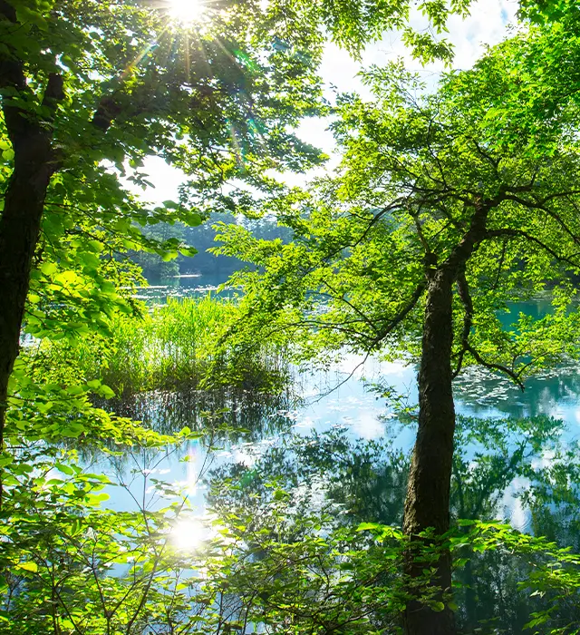 裏磐梯の春は止まらない