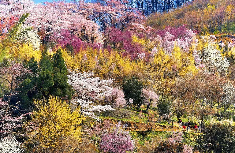 諸橋近代美術館