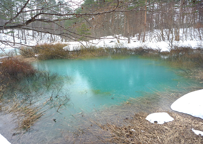 冬のアクティビティ例／ちょこっとスノーシュー。輝く青い沼と純白の森へ。