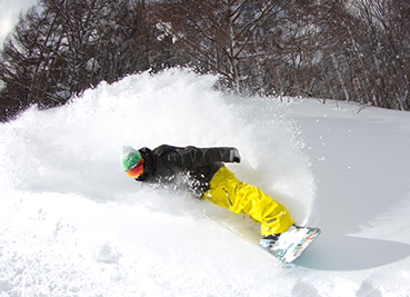 【春スキー】ネコママウンテン リフト券付★夕食はフレンチ満足度１位『クラシックフレンチ』