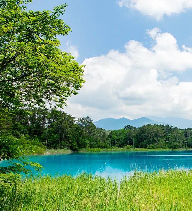 緑が彩る五色沼