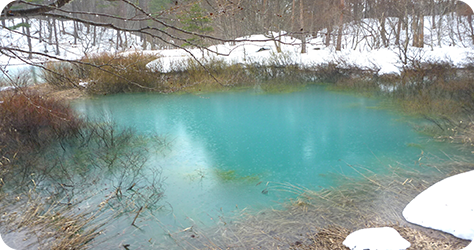 アクティビティ