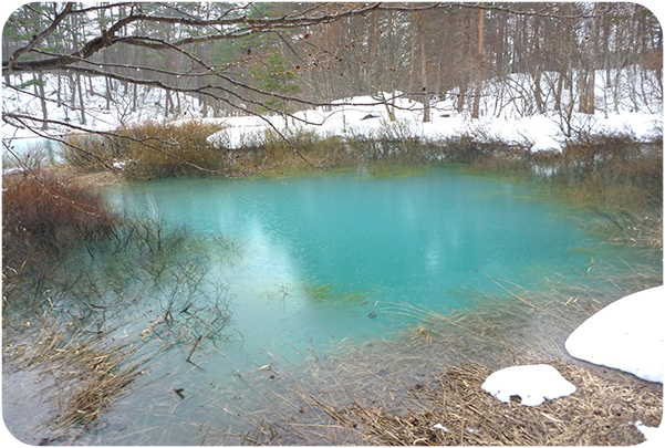 アクティビティ